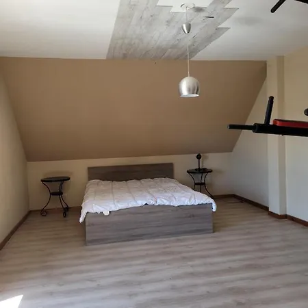 Holiday home Sd Loggia Wittisheim